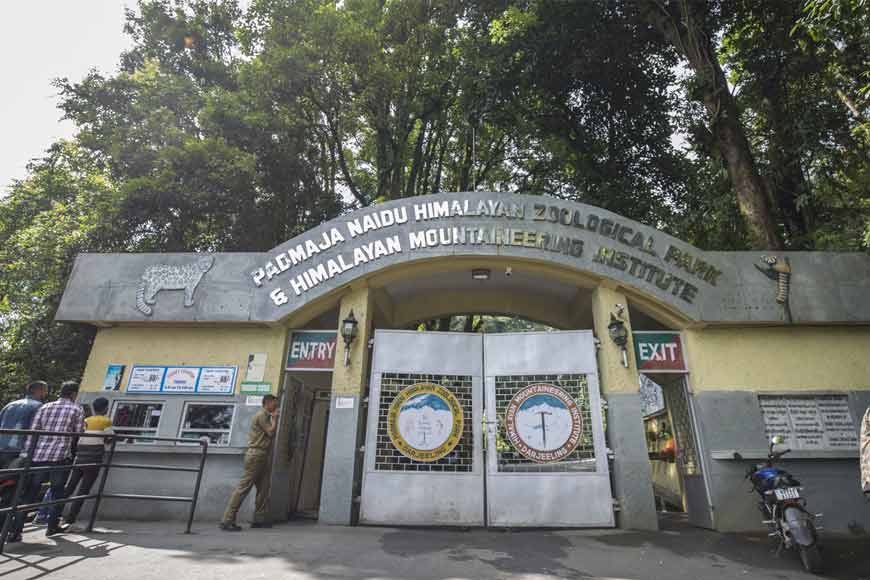 GB Exclusive: Darjeeling Zoo set to be revamped on Prague Zoo model